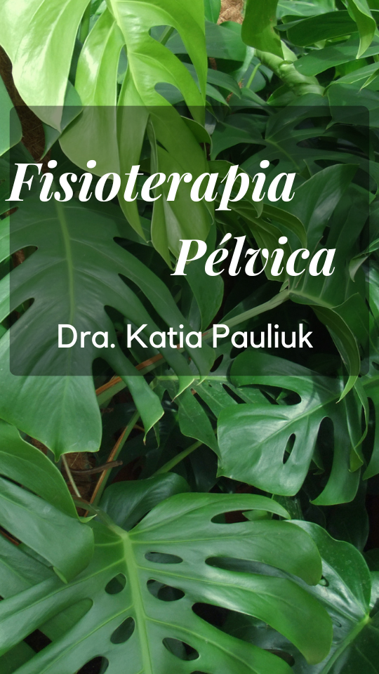 fisioterapia_pélvica