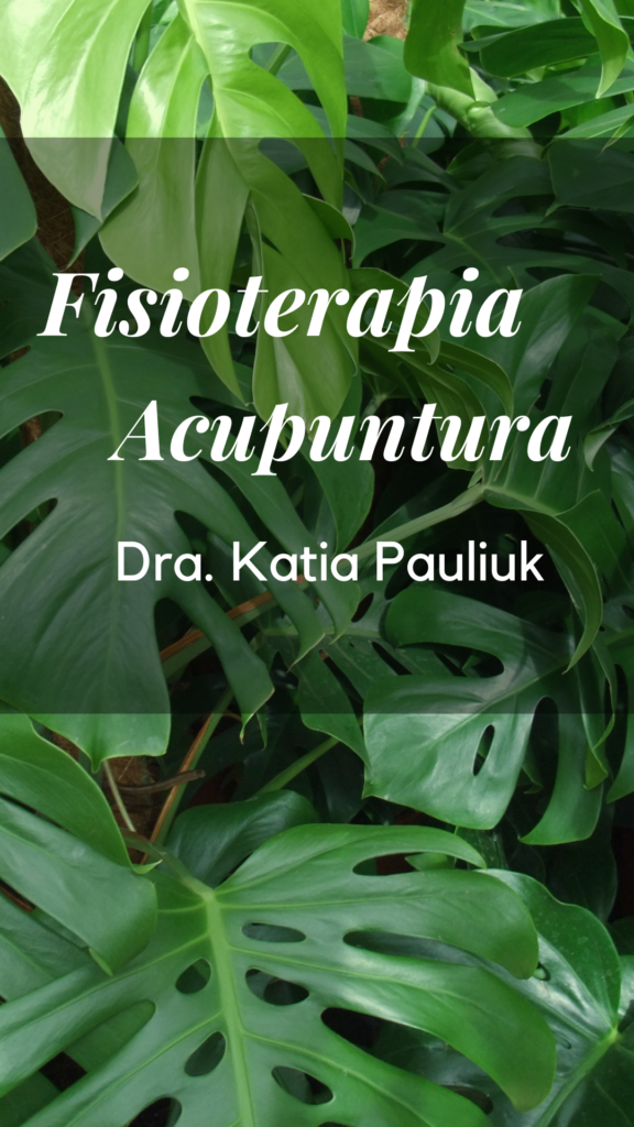 Fisioterapia_acupuntur