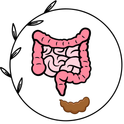 incontinência_fecal