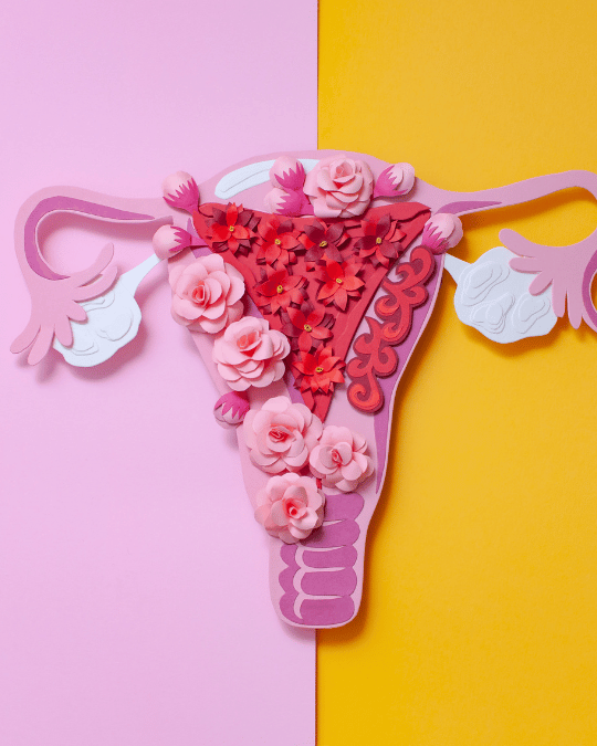 ilustração endometriose