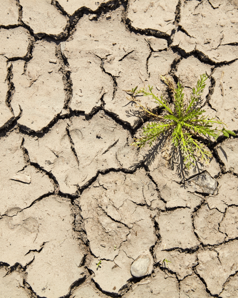 ilustração secura vaginal