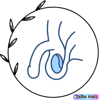 Acesso conteúdo sobre fisioterapia pélvica masculina