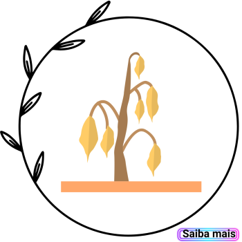 fisioterapia pélvica na atrofia vaginal