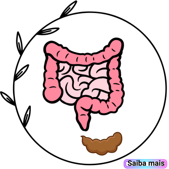 fisioterapia pélvica - na incontinência fecal